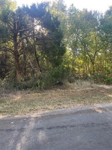 Land For Sale in Pryor OK on Lake Hudson - image 2