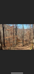 Lewis County Kentucky Land For Sale - image 5