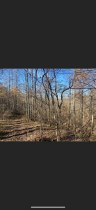 Lewis County Kentucky Land For Sale - image 13