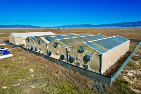 Acreage with Greenhouse For Sale in Moffat, Colorado! - image 27