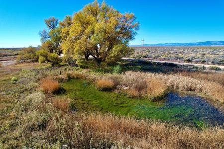 Acreage with Greenhouse For Sale in Moffat, Colorado! - image 29