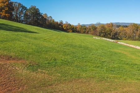 Recreational Land on the Smith River in Patrick County VA! - image 11