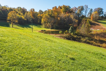 Recreational Land on the Smith River in Patrick County VA! - image 16