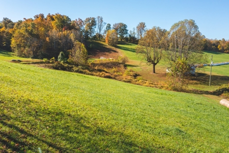 Recreational Land on the Smith River in Patrick County VA! - image 15