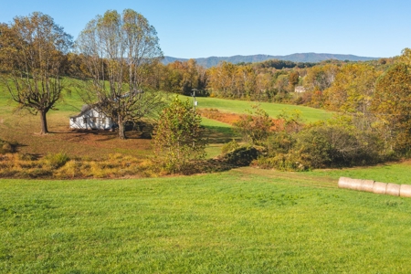 Recreational Land on the Smith River in Patrick County VA! - image 17