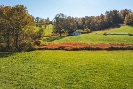 Recreational Land on the Smith River in Patrick County VA! - image 6