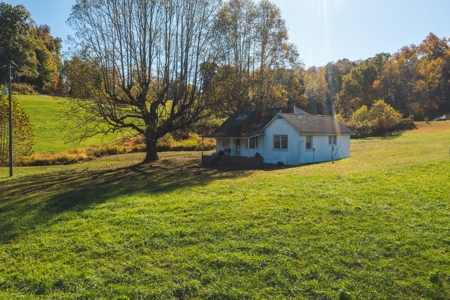 Recreational Land on the Smith River in Patrick County VA! - image 8