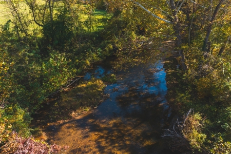 Recreational Land on the Smith River in Patrick County VA! - image 5