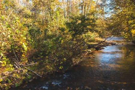 Recreational Land on the Smith River in Patrick County VA! - image 3