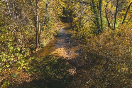 Recreational Land on the Smith River in Patrick County VA! - image 4