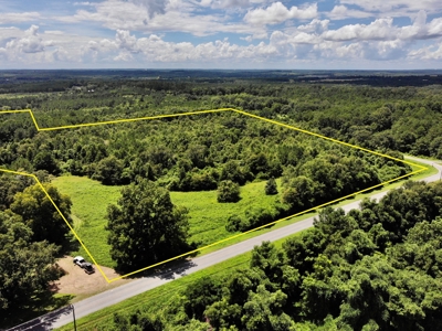 47ac Land for Sale - Ariton / Skipperville Alabama - Dale Co - image 8