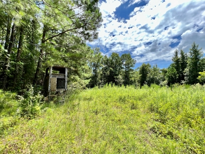 47ac Land for Sale - Ariton / Skipperville Alabama - Dale Co - image 21