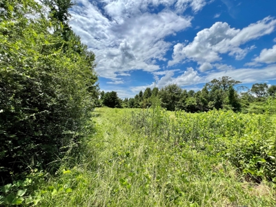 47ac Land for Sale - Ariton / Skipperville Alabama - Dale Co - image 17