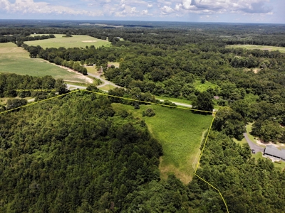 47ac Land for Sale - Ariton / Skipperville Alabama - Dale Co - image 25