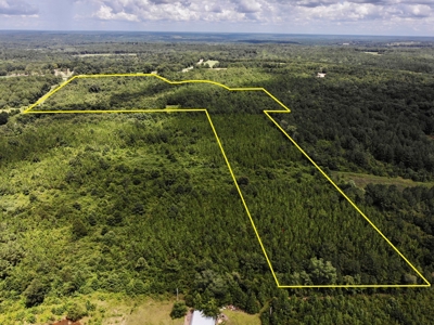 47ac Land for Sale - Ariton / Skipperville Alabama - Dale Co - image 9
