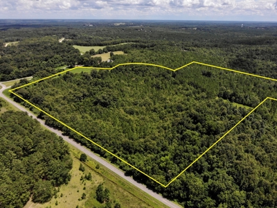 47ac Land for Sale - Ariton / Skipperville Alabama - Dale Co - image 7