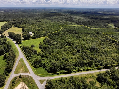 47ac Land for Sale - Ariton / Skipperville Alabama - Dale Co - image 1