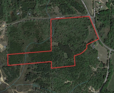 47ac Land for Sale - Ariton / Skipperville Alabama - Dale Co - image 5