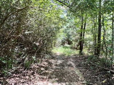 47ac Land for Sale - Ariton / Skipperville Alabama - Dale Co - image 18