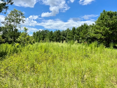 47ac Land for Sale - Ariton / Skipperville Alabama - Dale Co - image 22