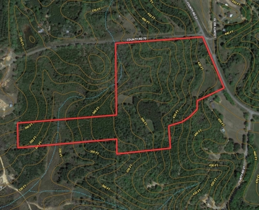 47ac Land for Sale - Ariton / Skipperville Alabama - Dale Co - image 6