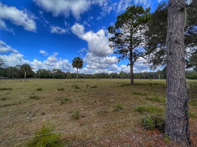 Vacant Land - Chiefland Florida - Levy County Florida! - image 3