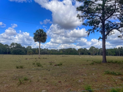 Vacant Land - Chiefland Florida - Levy County Florida! - image 1