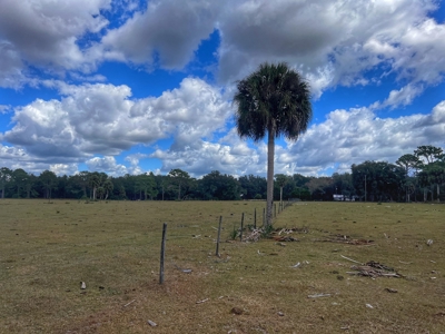 Vacant Land - Chiefland Florida - Levy County Florida! - image 2