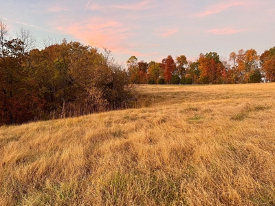 Mobile Home with Acreage in Cumberland County, KY - image 10