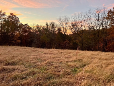 Mobile Home with Acreage in Cumberland County, KY - image 19