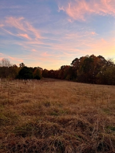 Mobile Home with Acreage in Cumberland County, KY - image 17