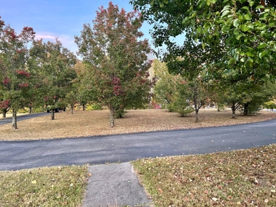 Mobile Home with Acreage in Cumberland County, KY - image 23