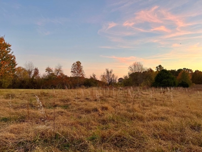 Mobile Home with Acreage in Cumberland County, KY - image 43