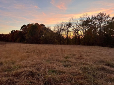 Mobile Home with Acreage in Cumberland County, KY - image 7