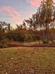 Mobile Home with Acreage in Cumberland County, KY - image 41