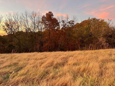 Mobile Home with Acreage in Cumberland County, KY - image 30