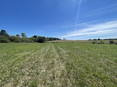 Country Home and Acreage For Sale in Lawrenceburg Tn - image 50