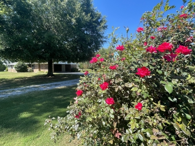 Country Home and Acreage For Sale in Lawrenceburg Tn - image 18