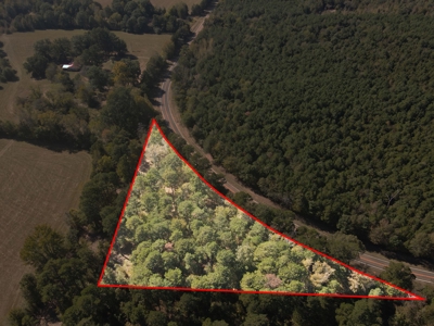 East Texas Hunting Land - image 1