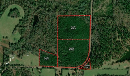 East Texas Hunting Land - image 2