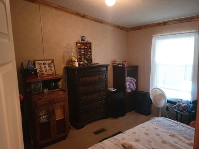 Home For Sale Stockton Missouri - image 12