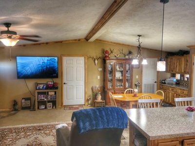 Home For Sale Stockton Missouri - image 24