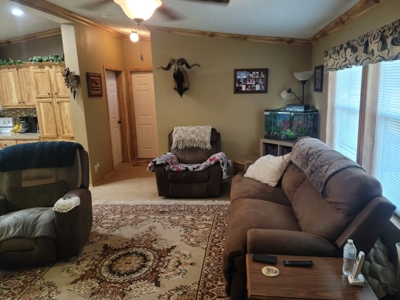 Home For Sale Stockton Missouri - image 8
