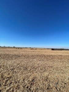 ONLINE AUCTION. Nodaway County Highly Tillable Hill Land - image 8