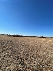 ONLINE AUCTION. Nodaway County Highly Tillable Hill Land - image 14