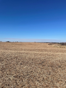 ONLINE AUCTION. Nodaway County Highly Tillable Hill Land - image 4