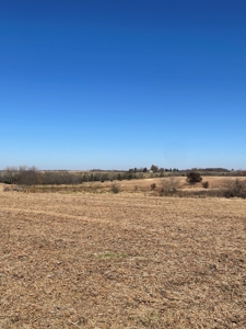 ONLINE AUCTION. Nodaway County Highly Tillable Hill Land - image 16