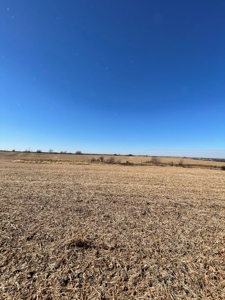 ONLINE AUCTION. Nodaway County Highly Tillable Hill Land - image 12