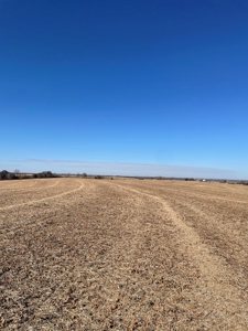 ONLINE AUCTION. Nodaway County Highly Tillable Hill Land - image 10