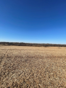 ONLINE AUCTION. Nodaway County Highly Tillable Hill Land - image 3